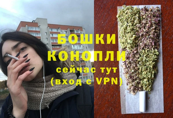 ECSTASY Богородск